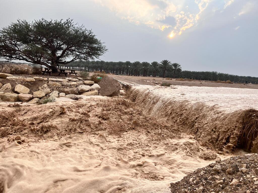 الأمطار تُربك الحركة: إغلاقات في المحميات بعد توافد عشرات الآلاف (سلطة الطبيعة) الأمطار تُربك الحركة: إغلاقات في المحميات بعد توافد عشرات الآلاف