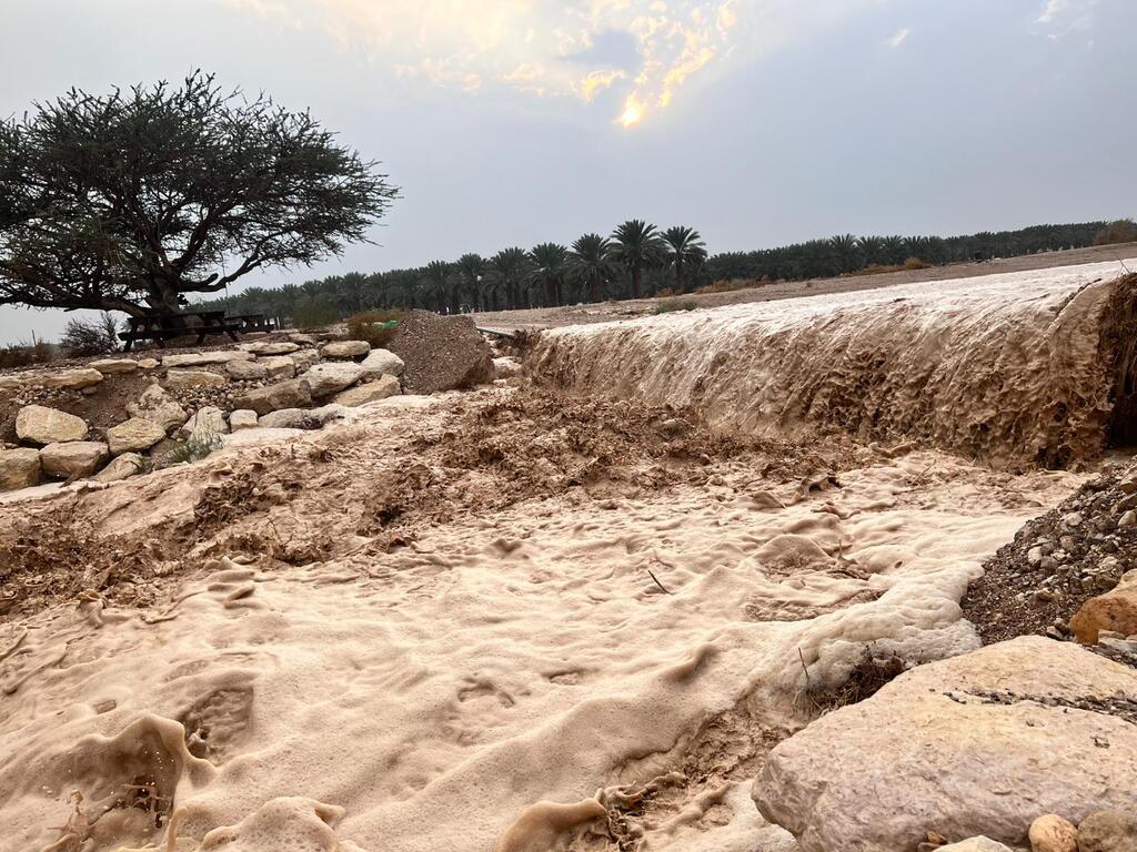 الأمطار تُربك الحركة: إغلاقات في المحميات بعد توافد عشرات الآلاف (سلطة الطبيعة) الأمطار تُربك الحركة: إغلاقات في المحميات بعد توافد عشرات الآلاف