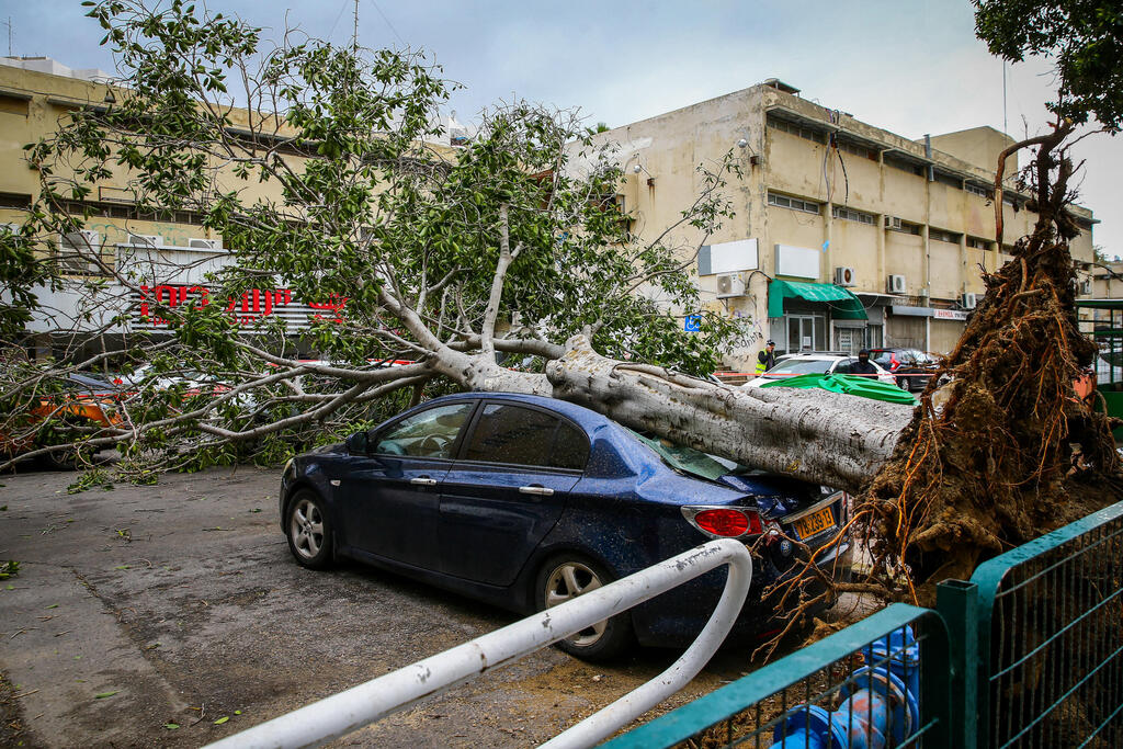 عاصفة في البلاد (Flash90) عاصفة في البلاد