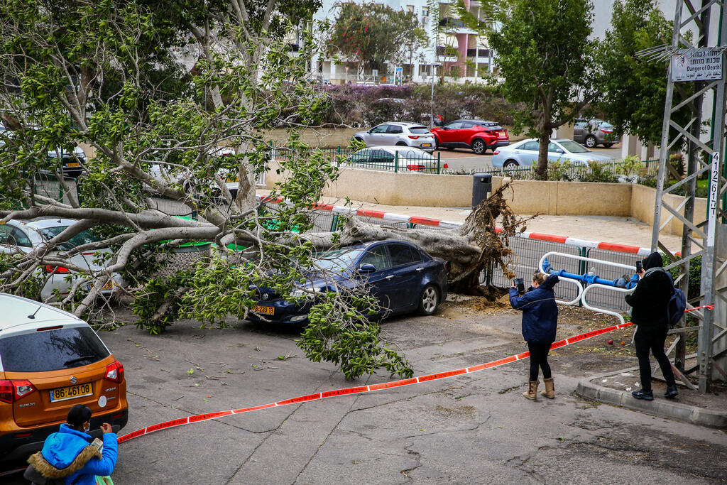 عاصفة في البلاد - إرشيف (Flash90) عاصفة في البلاد