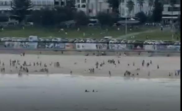 إطلاق نار في استراليا (وفق البند 27 أ لقانون حقوق النشر 2007) إطلاق نار في استراليا