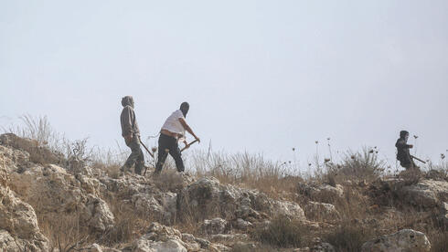 أرشيفية. اعتداءات مستوطنين في الضفة الغربية