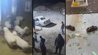 اعتداءات المستوطنين أمس