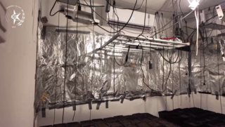 الشرطة: اعتقال مشتبه من زخرون يعقوف وضبط معمل يحتوي على مئات أشتال القنّب