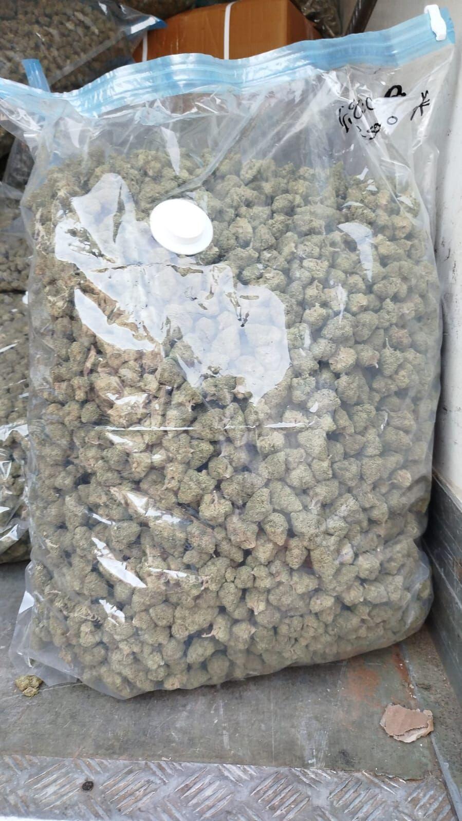 إحباط تهريب مئات الكيلوغرامات من المخدرات 