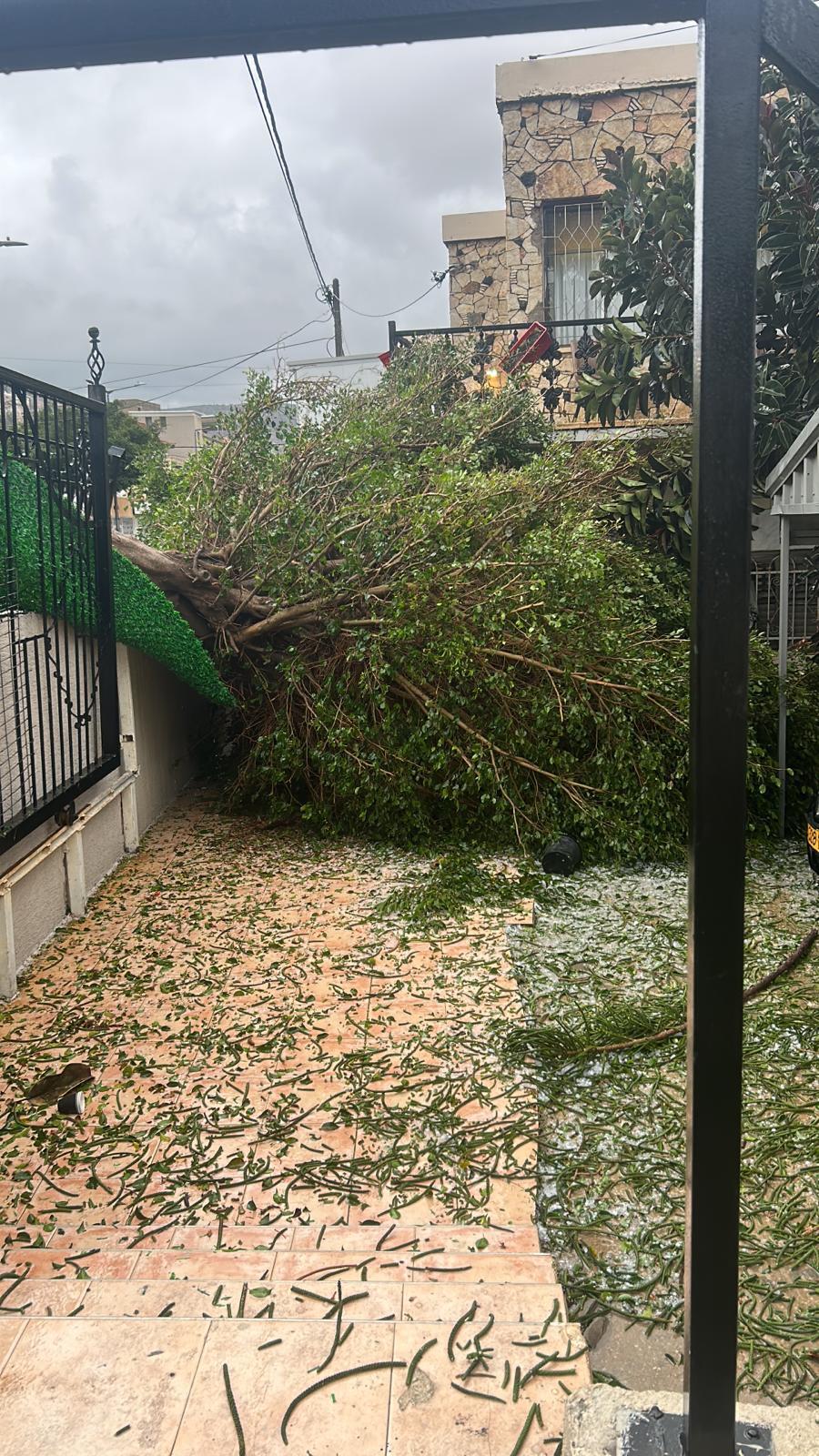 رياح عاتية وأمطار غزيرة في الشمال