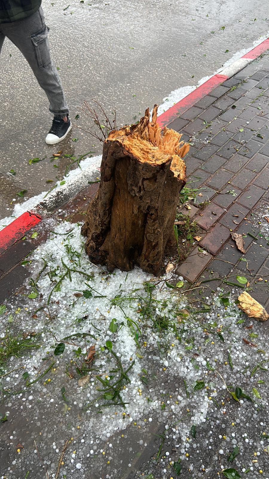 رياح عاتية وأمطار غزيرة في الشمال