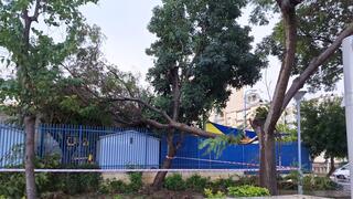 رياح عاتية وأمطار غزيرة في الشمال