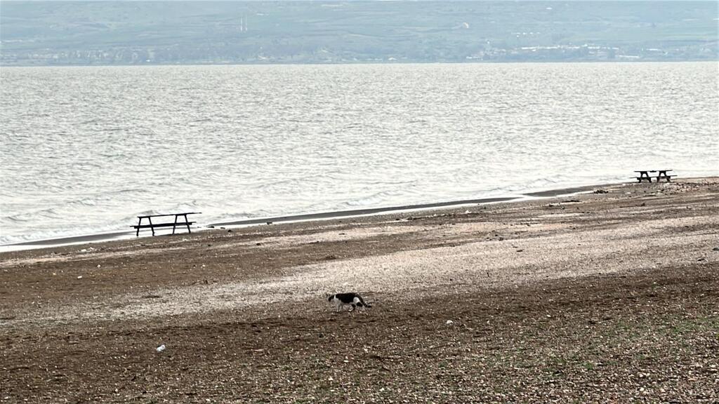 بحيرة طبريا: ارتفاع إضافي نصف سنتيمتر 