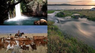 الطبيعة في الجولان