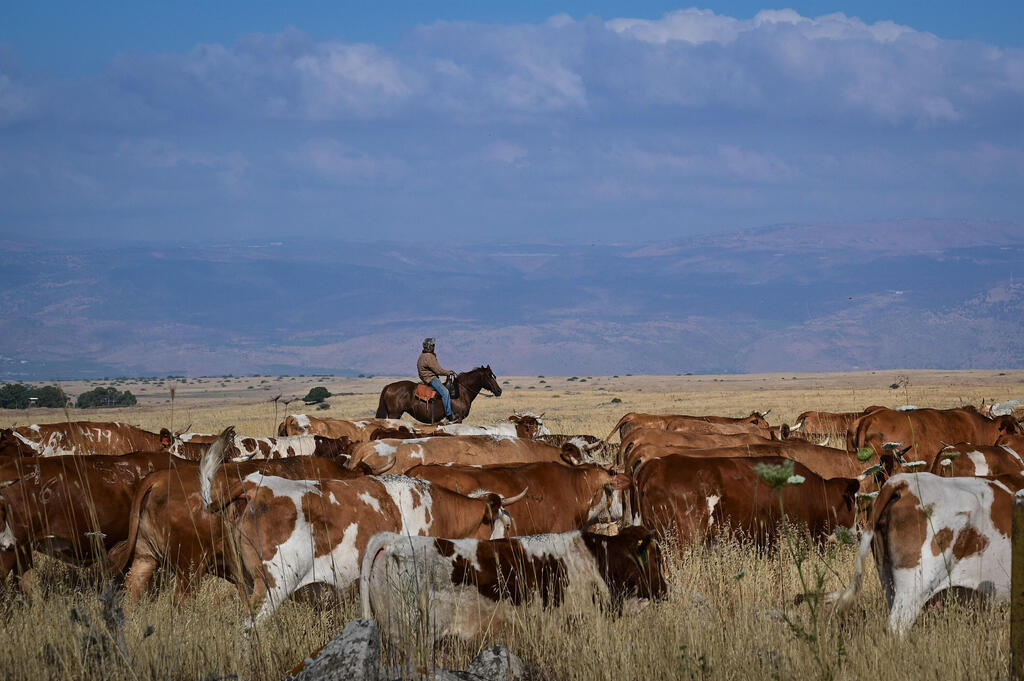 الطبيعة في الجولان