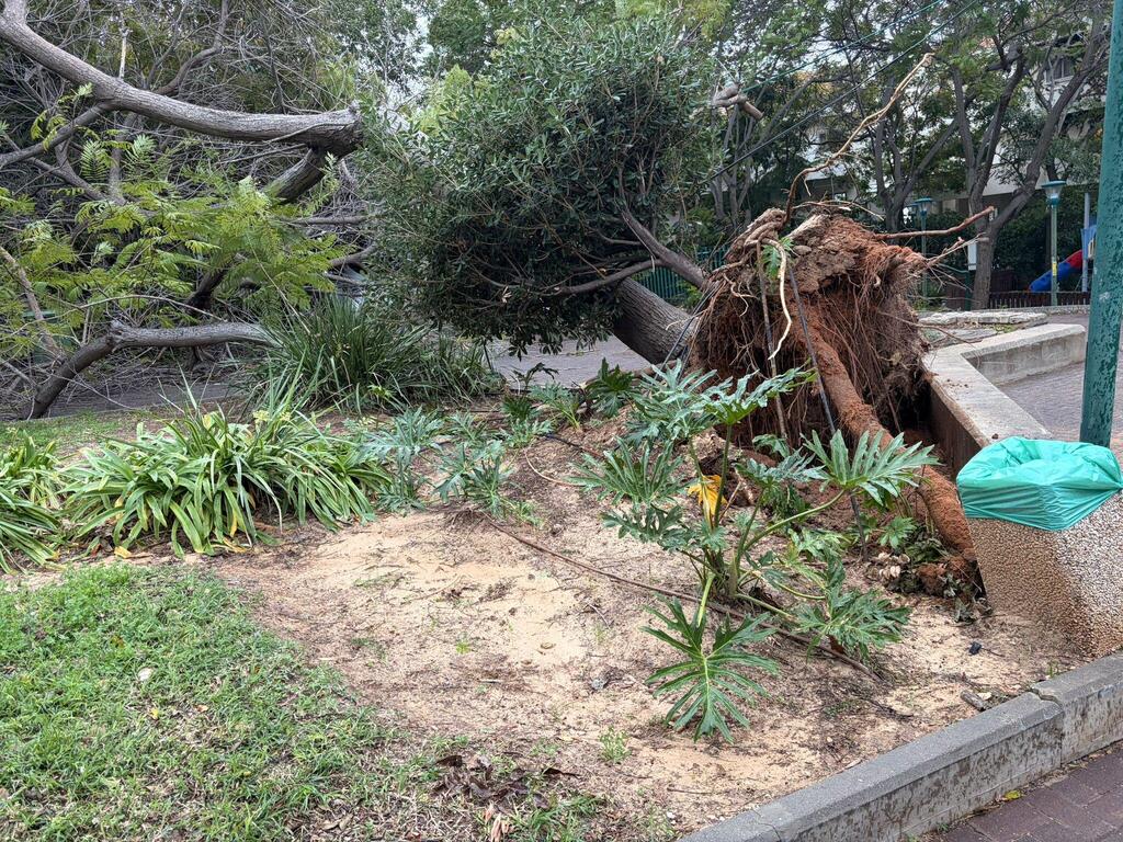 الطقس العاصف: سقوط أشجار، فيضانات، ومصرع شخص أثناء ركوب الأمواج