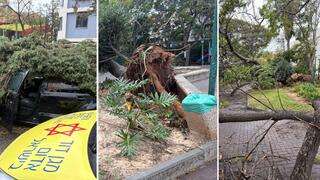 الطقس العاصف: سقوط أشجار، فيضانات، ومصرع شخص أثناء ركوب الأمواج