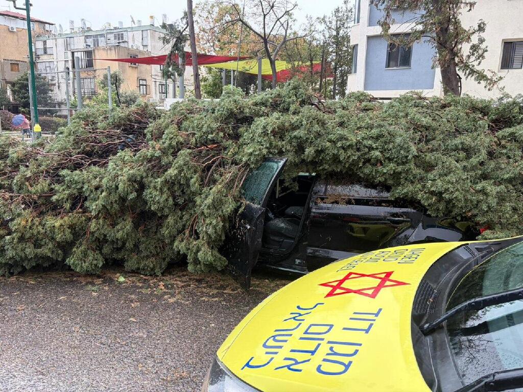 الطقس العاصف: سقوط أشجار، فيضانات، ومصرع شخص أثناء ركوب الأمواج