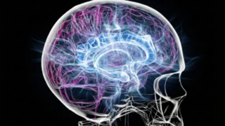 دراسة عالمية تكشف عن جذور جينية مشتركة للاضطرابات النفسية المختلفة