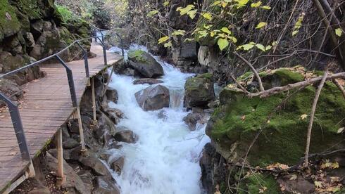 الشلالات والأودية تواصل تدفقها بعد العاصفة