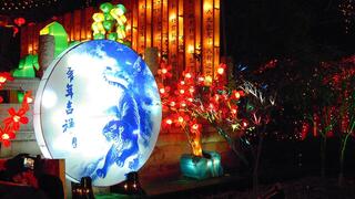 مهرجان تسيقونغ يعيد إحياء فن الفوانيس العريق مع بداية عام الحصان في الصين
