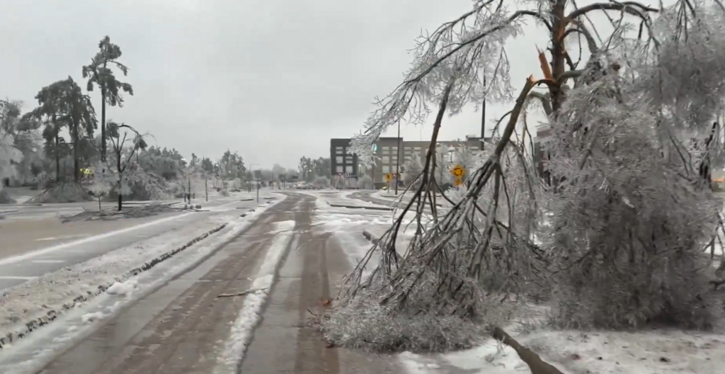 عاصفة ثلجية تضرب أميركا