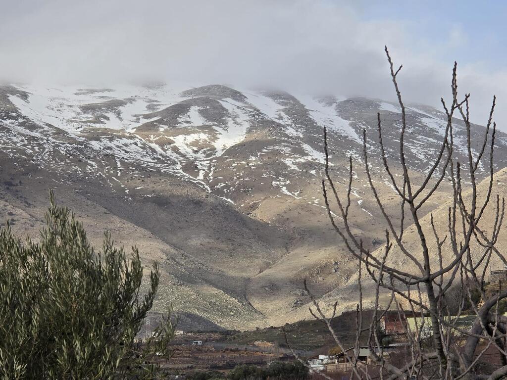 الطقس الربيعي ينعش السياحة الطبيعية: 90 ألف متنزّه في المحميات والحدائق 