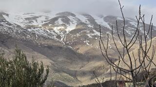 الطقس الربيعي ينعش السياحة الطبيعية: 90 ألف متنزّه في المحميات والحدائق 