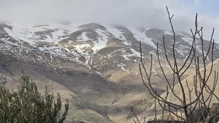 الطقس الربيعي ينعش السياحة الطبيعية: 90 ألف متنزّه في المحميات والحدائق 