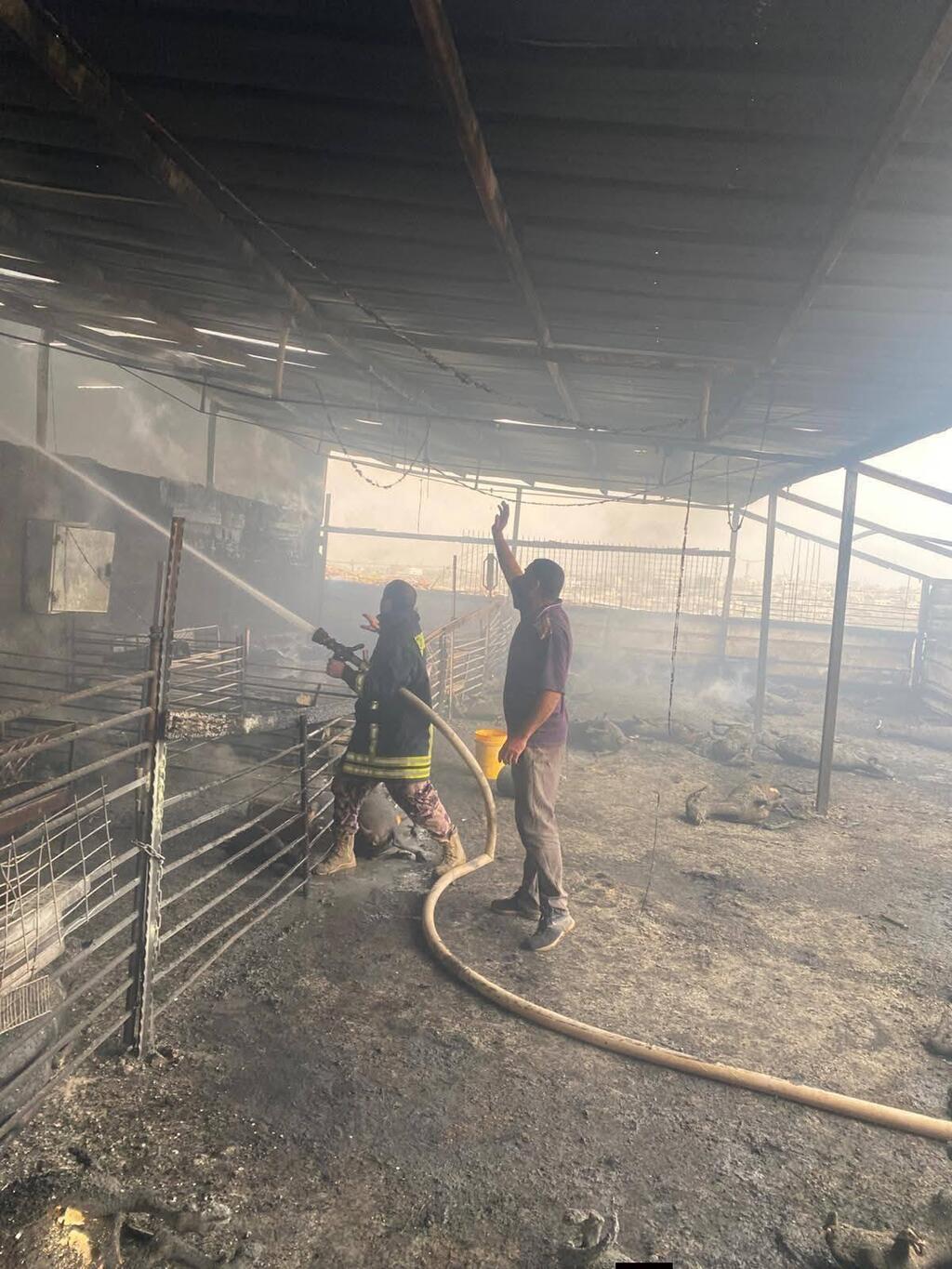 حريق يلتهم مزرعة في السموع ويقضي على 75 رأسًا من الأغنام