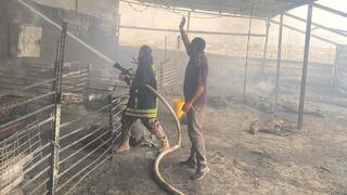 حريق يلتهم مزرعة في السموع ويقضي على 75 رأسًا من الأغنام