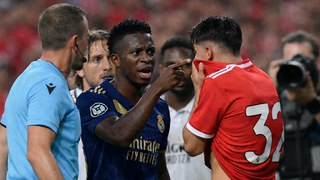 فينسيوس - صورة توضيحية