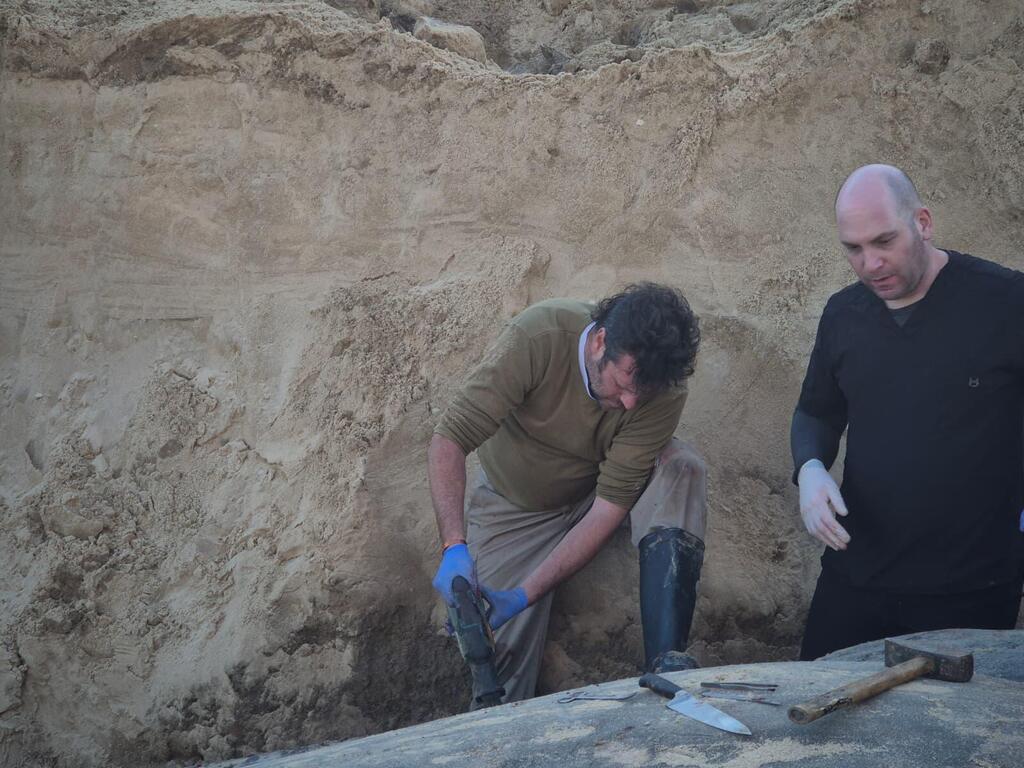 حوت مهدد بالانقراض يلفظ أنفاسه على شاطئ زيكيم