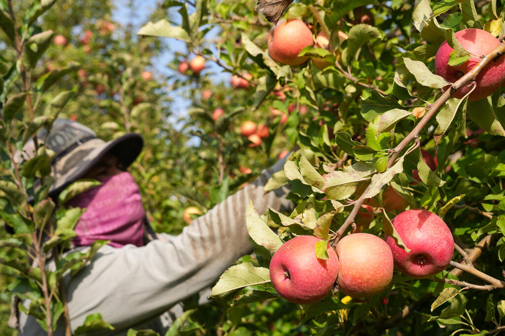عمال اجانب - صورة توضيحية