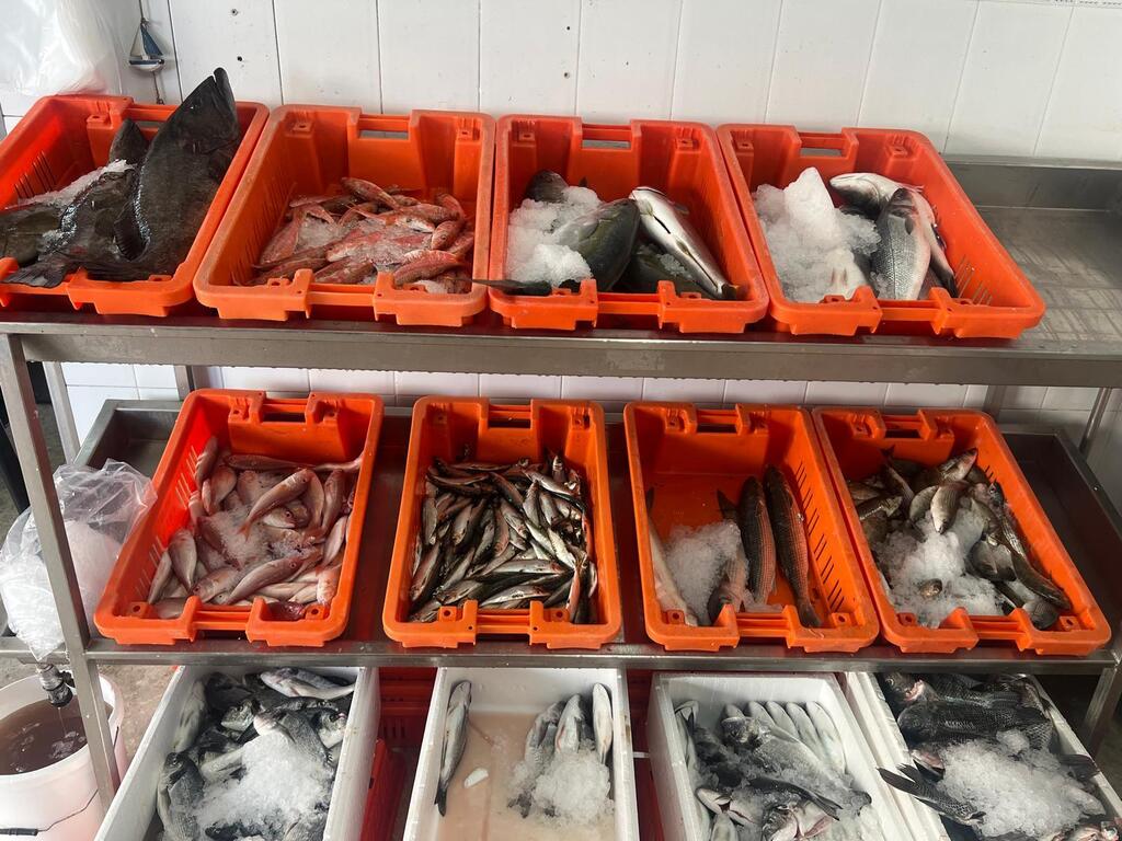 أجواء رمضانية مميزة في بلدة الفريديس (راديو الناس) أجواء رمضانية مميزة في بلدة الفريديس