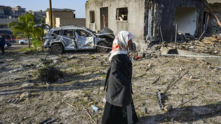 دمار في الزرازير