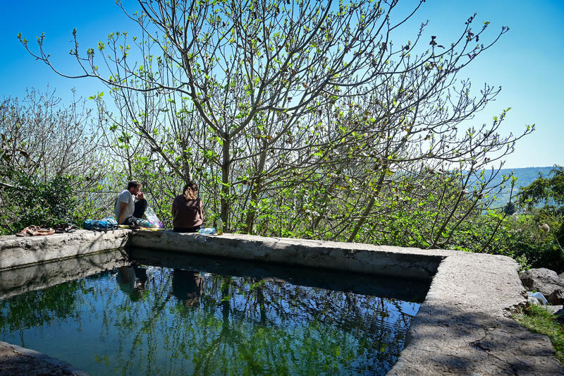 من هضبة الجولان