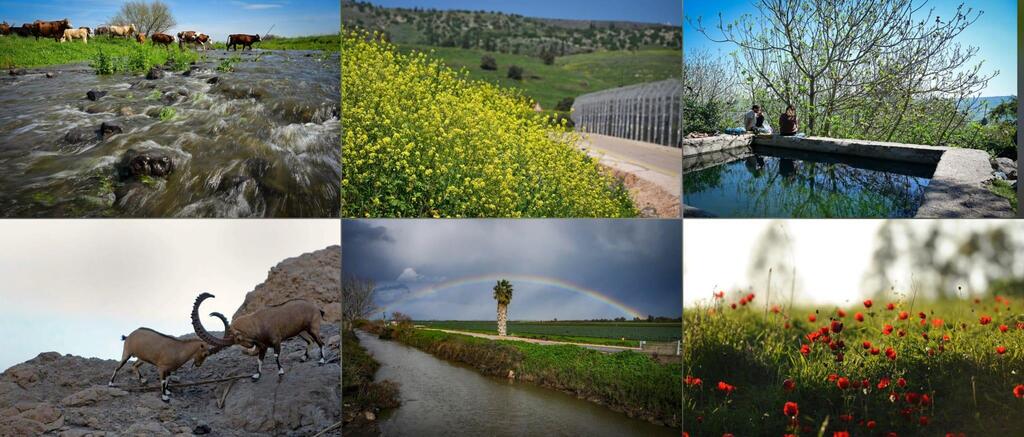 مع إعادة فتح المحميات: نيسان أفضل توقيت لرحلات الربيع