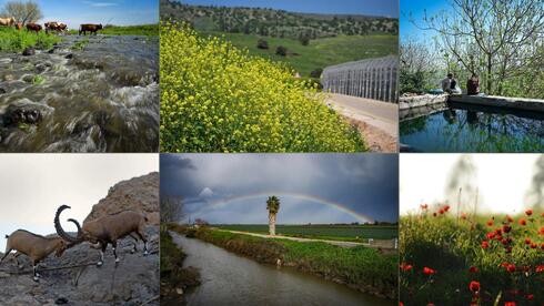 مع إعادة فتح المحميات: نيسان أفضل توقيت لرحلات الربيع