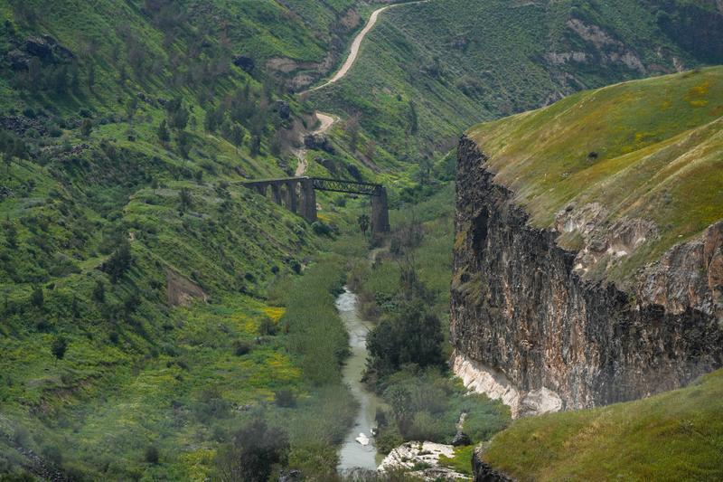 من هضبة الجولان