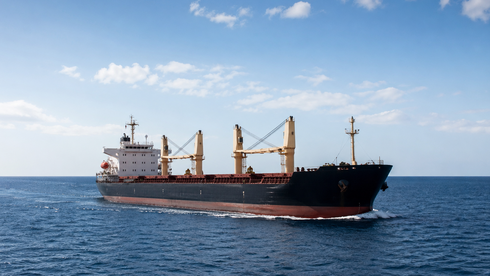 أوكرانيا: قمح منهوب يُباع في إسرائيل ويموّل الحرب الروسية