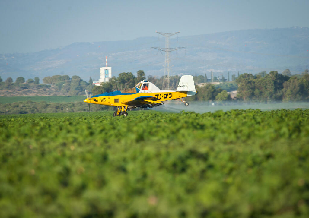 رش مبيدات حشرات على مزروعات 