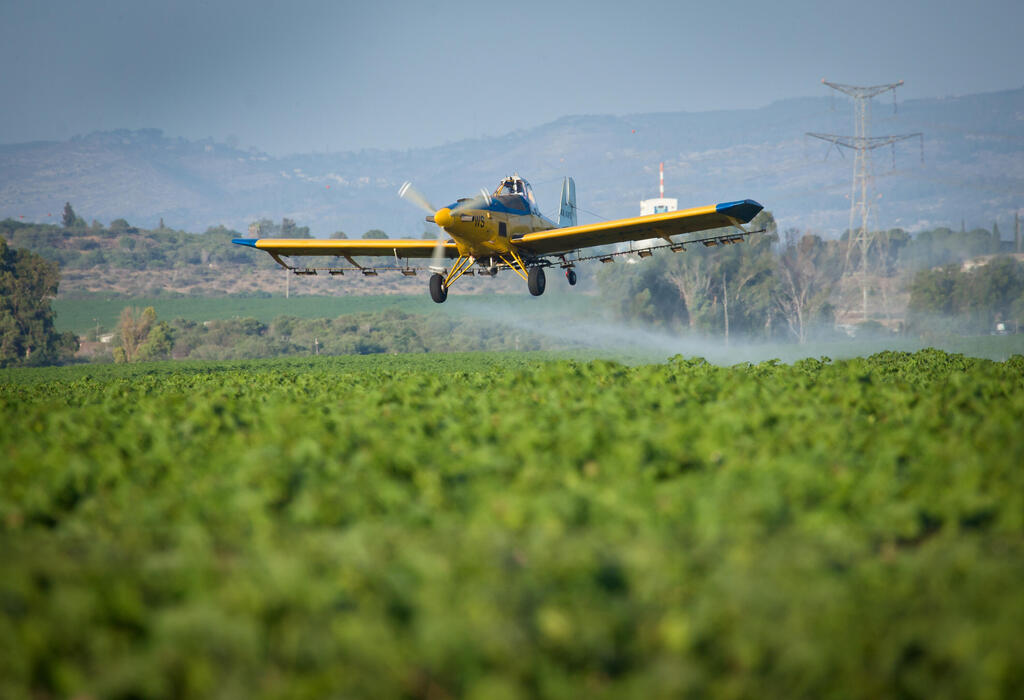 رش مبيدات حشرات على مزروعات 