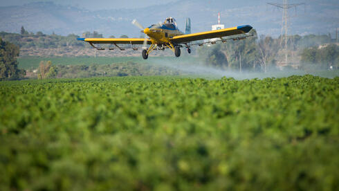 رش مبيدات حشرات على مزروعات 