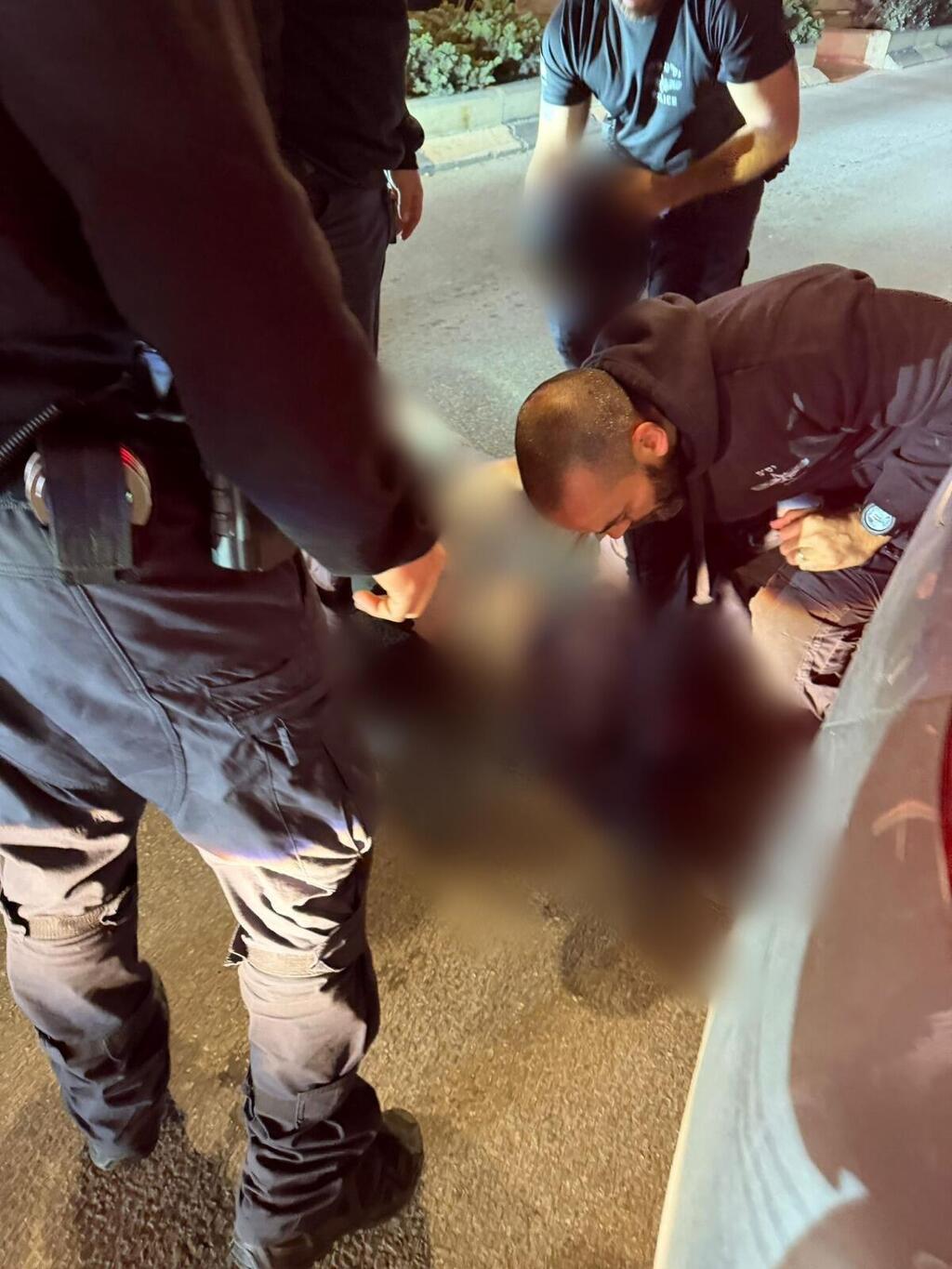 الشرطة في دالية الكرمل