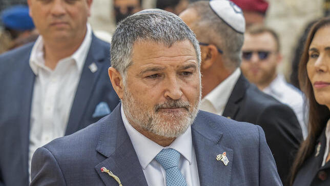 دافيد زيني