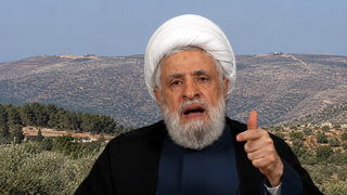 نعيم قاسم