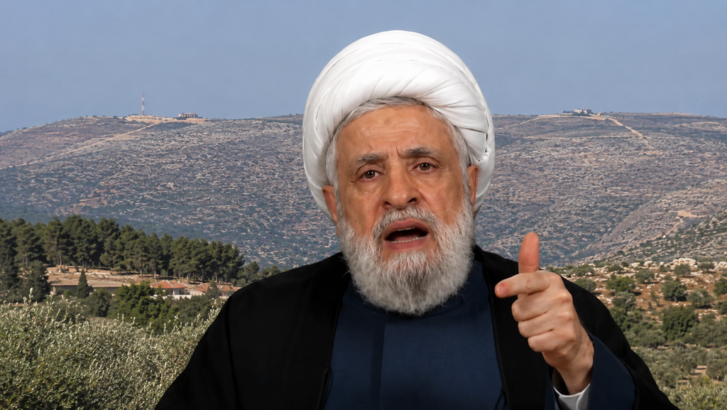 نعيم قاسم