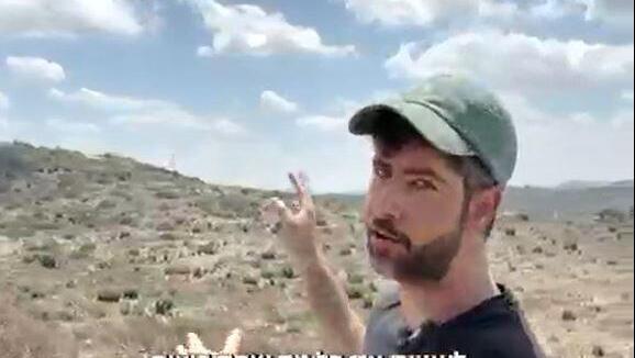 لي غرين