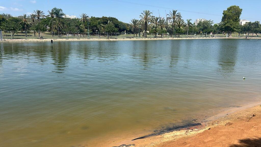فقدان آثار طفل دخل لمجمع مياه في جنوبي تل أبيب وعمليات بحث عنه