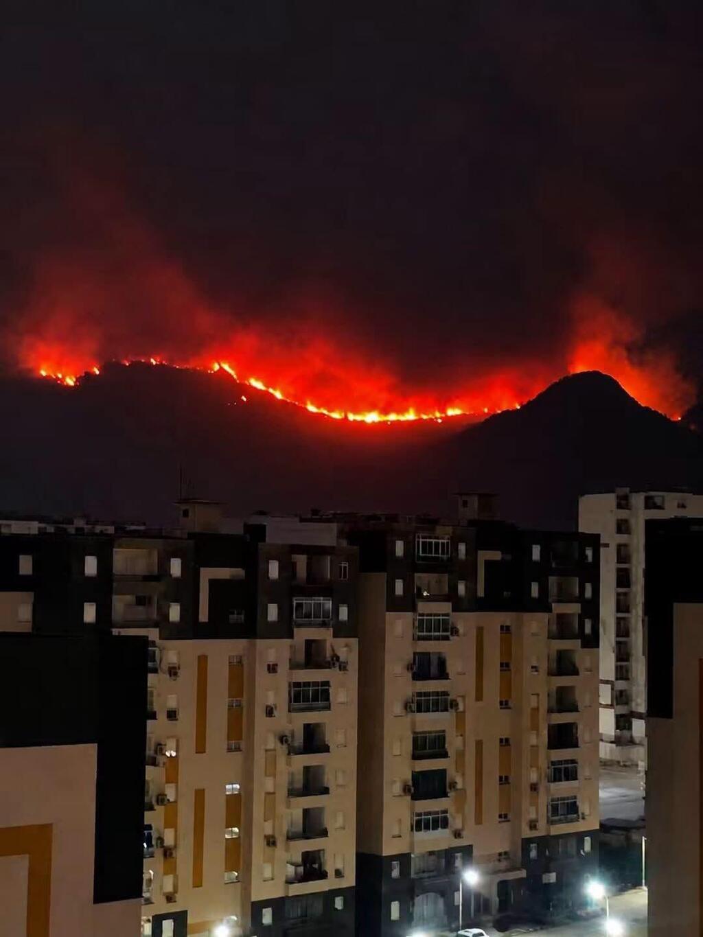 حرائق الجزائر