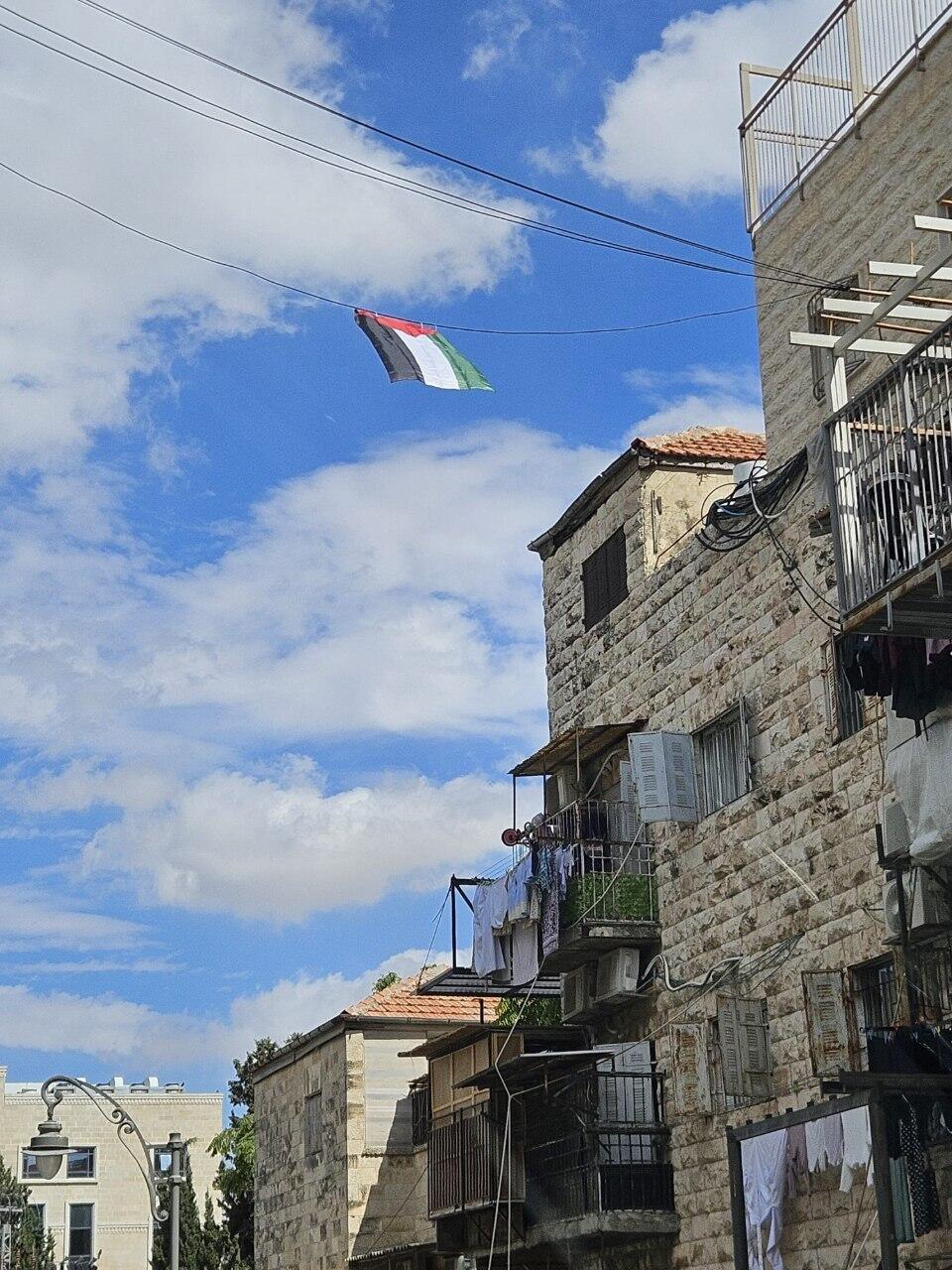 اعتقال 3 فتية يهود في "مئة شعاريم" بعد رشق الشرطة بالحجارة خلال إزالة أعلام فلسطين (استخدام الصورة وفقا للبند 27أ) اعتقال 3 فتية يهود في "مئة شعاريم" بعد رشق الشرطة بالحجارة خلال إزالة أعلام فلسطين